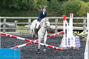 Class 3 -  Fences not above 2'3